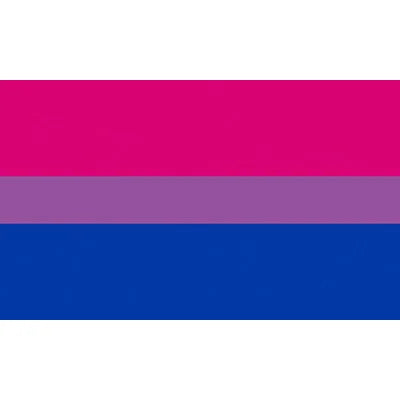 Philadelphia LGBT Rainbow Pride Flag